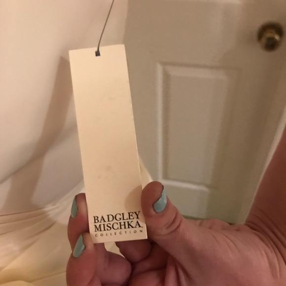 Badgley Mischka Livia Bhldn wedding dress - Picture 6 of 8